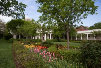 White House garden-29